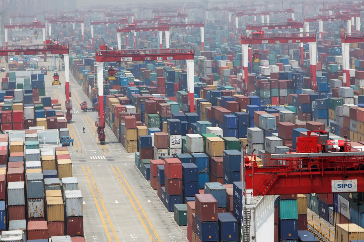 exportação de carne bovina