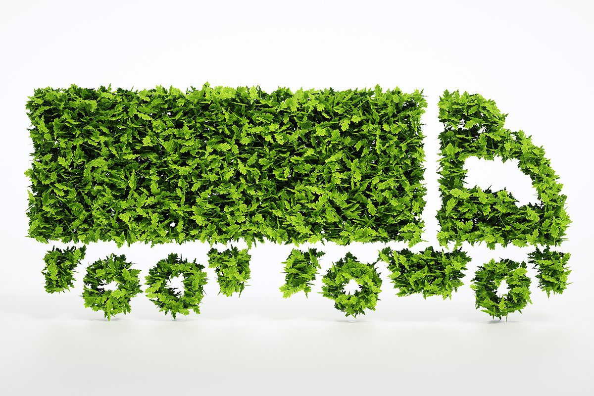 produção de Biodiesel