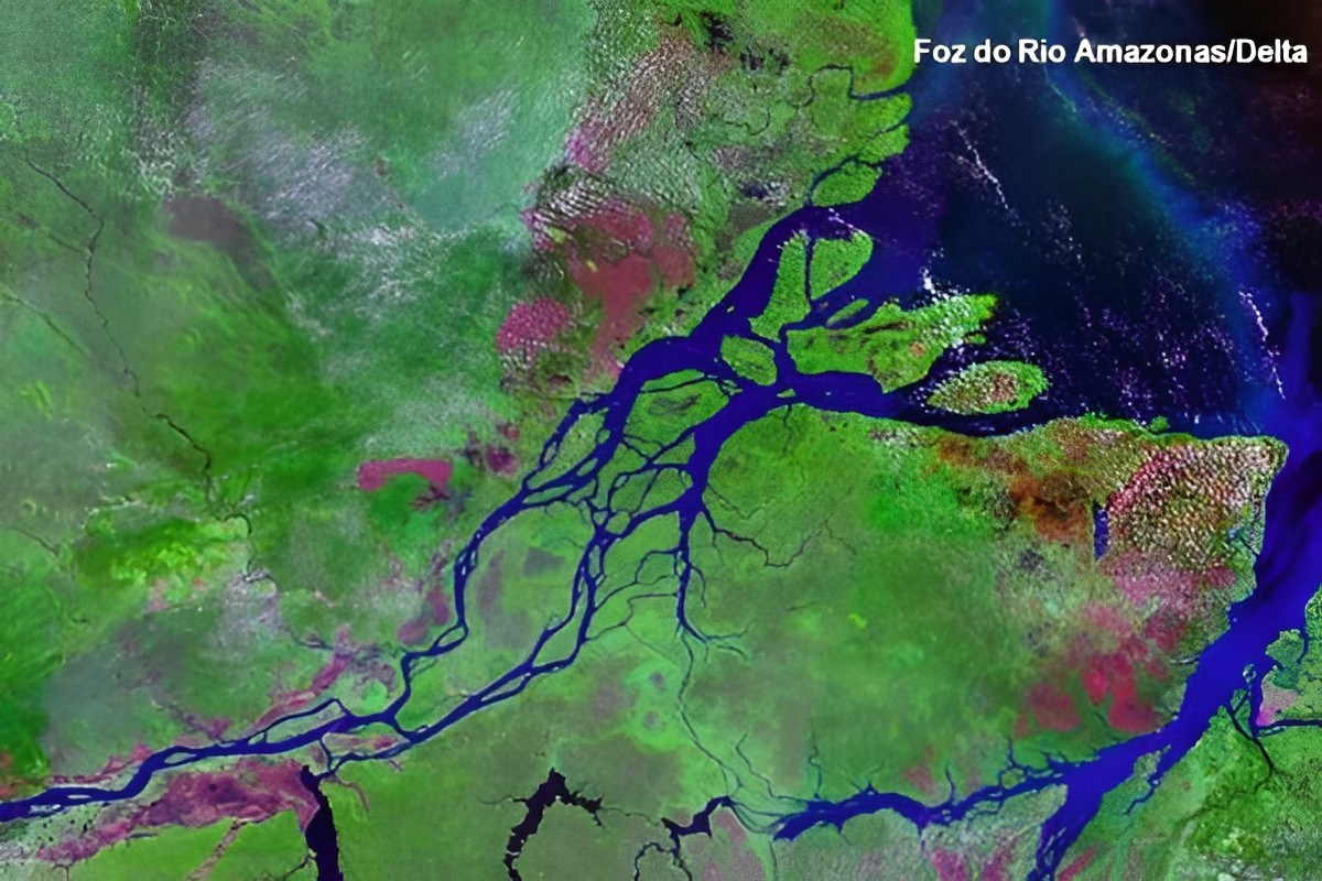 Exploração de petróleo na Foz do Amazonas