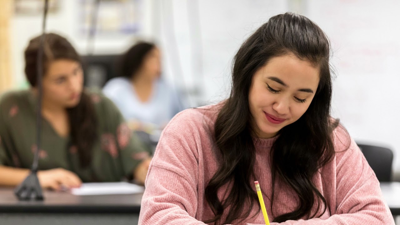 novos concursos públicos