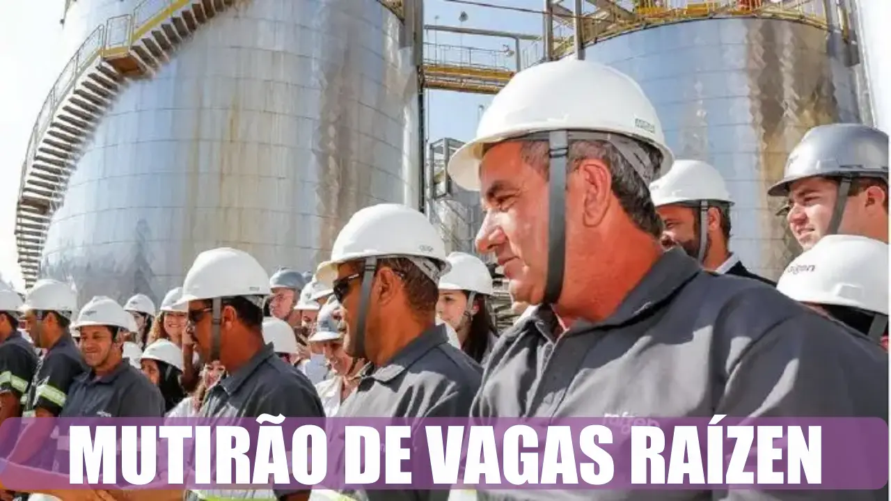 emprego - etanol - usina - vagas - shell - raízen - São Paulo - produção - sem experiencia