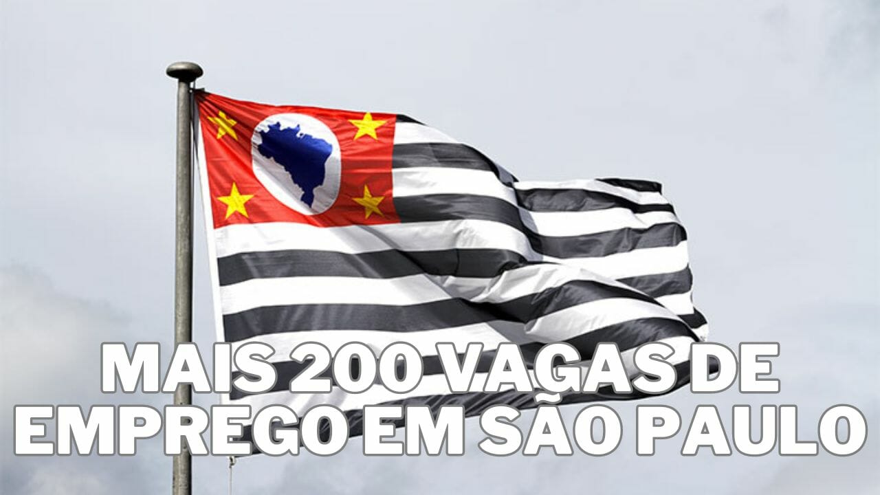 4º MUTIRÃO do emprego em metrópole paulista: Mais de 200 VAGAS abertas, incluindo estágios em São Paulo