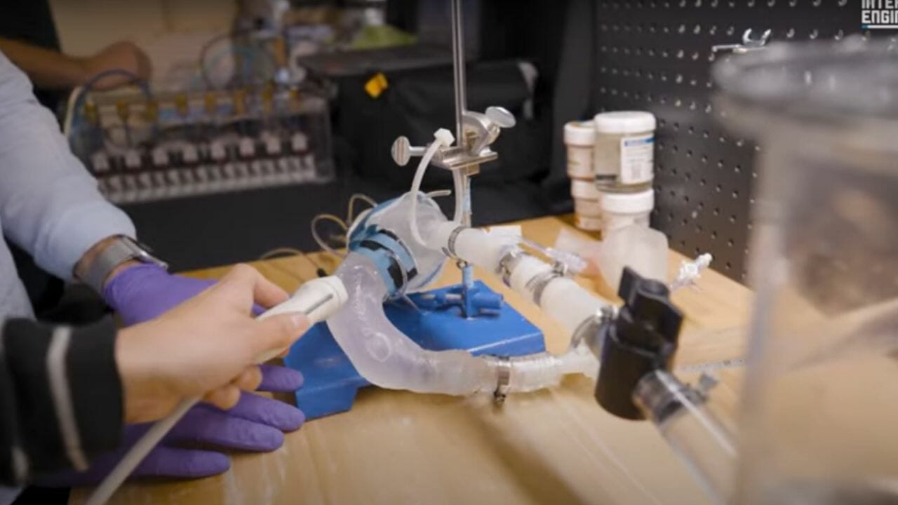 Inovação na ciência: Impressão 3D de órgãos cardíacos, do MIT, que pode RESOLVER o déficit mundial de transplantes