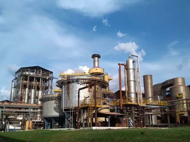 paraense Pagrisa em atuação