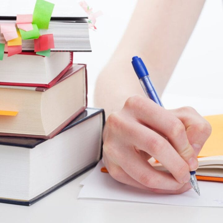 oportunidades para Auditor