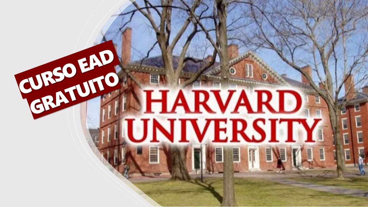 harvard, cursos, capacitação