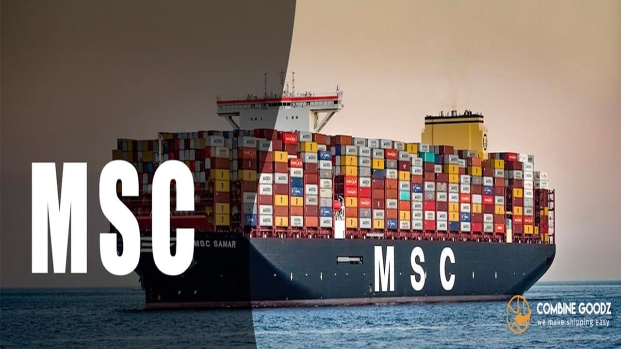 MSC, vagas, emprego