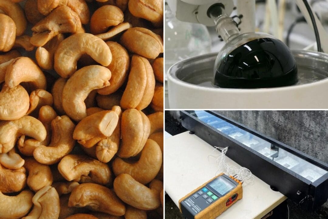 Cearense cria painéis solares inéditos usando resíduos de castanha de caju