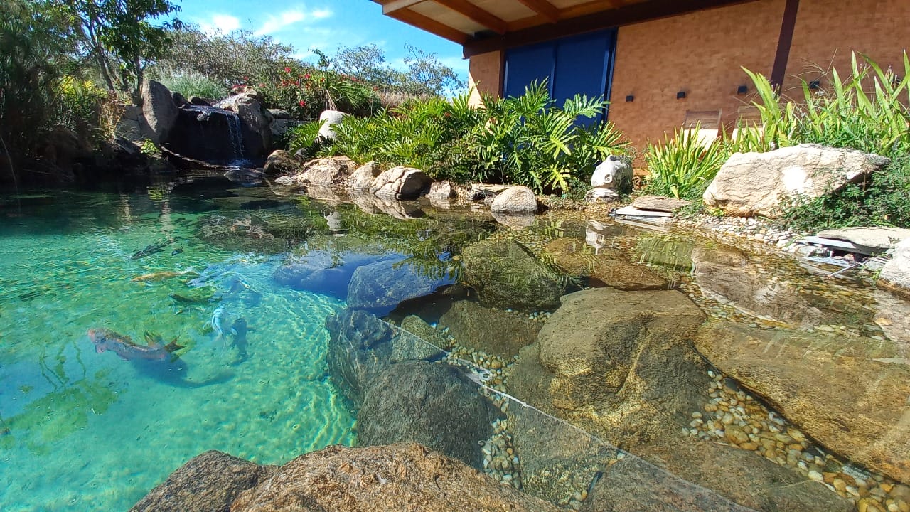 Piscinas biológicas