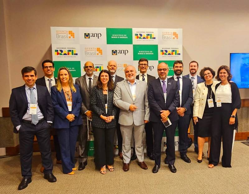 Petroquímica, Petroquímico, Empresa Brasileira de Petróleo