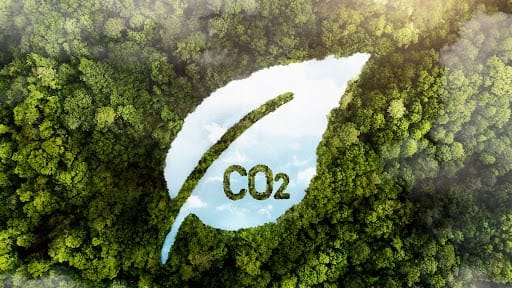 BioCarbon Token