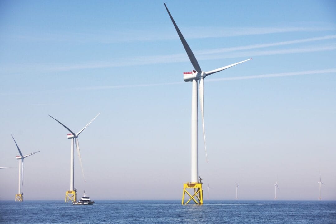 projeto de energia eólica offshore, projeto de parque eólico marítimo