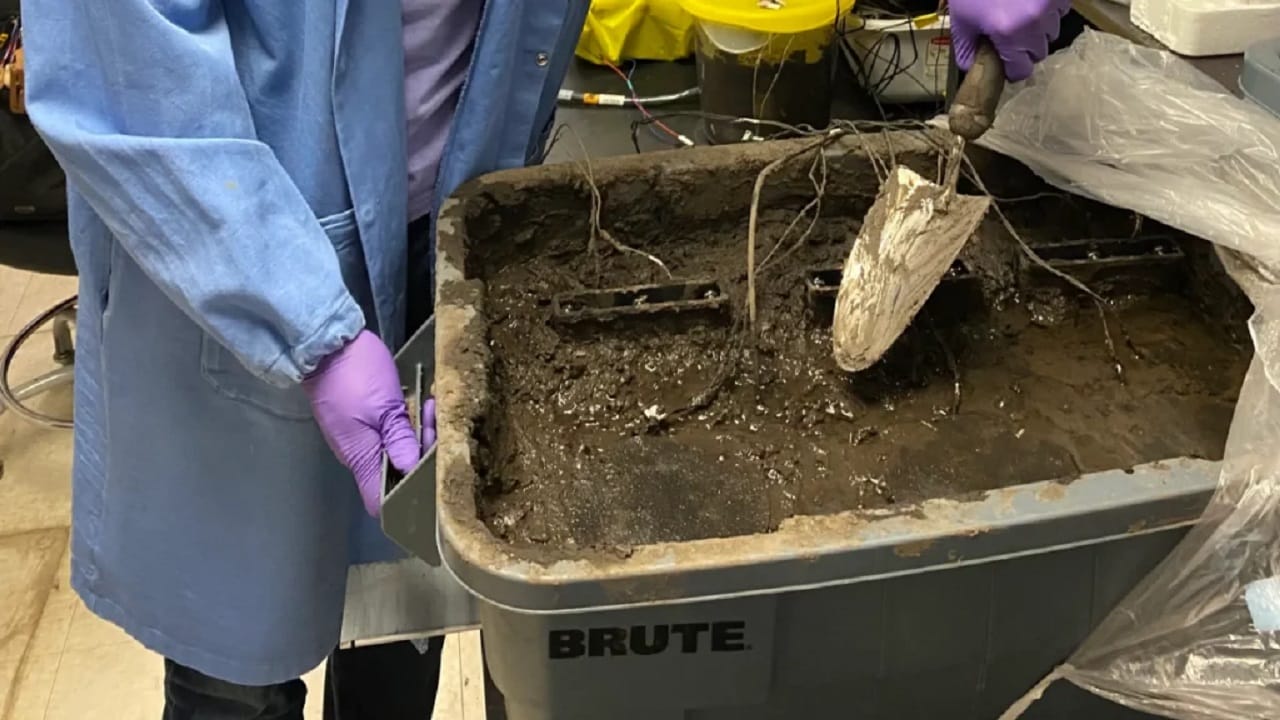 Esta nova célula de combustível transforma sujeira em fonte inesgotável de energia