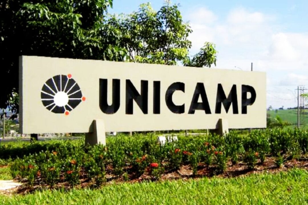 Unicamp oferece cursos gratuitos online