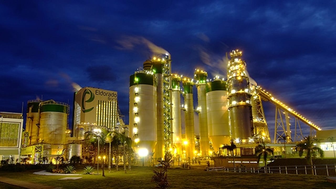 Job, employment, pulp, Eldorado