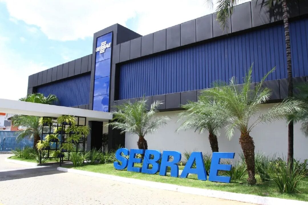Sebrae oferece 360 vagas em cursos online EAD, totalmente gratuitos e com certificado garantido; não precisa pagar taxa de inscrição nem fazer prova! 