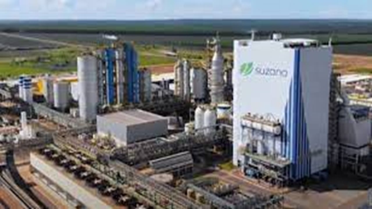 job, vacancies, suzano, pulp