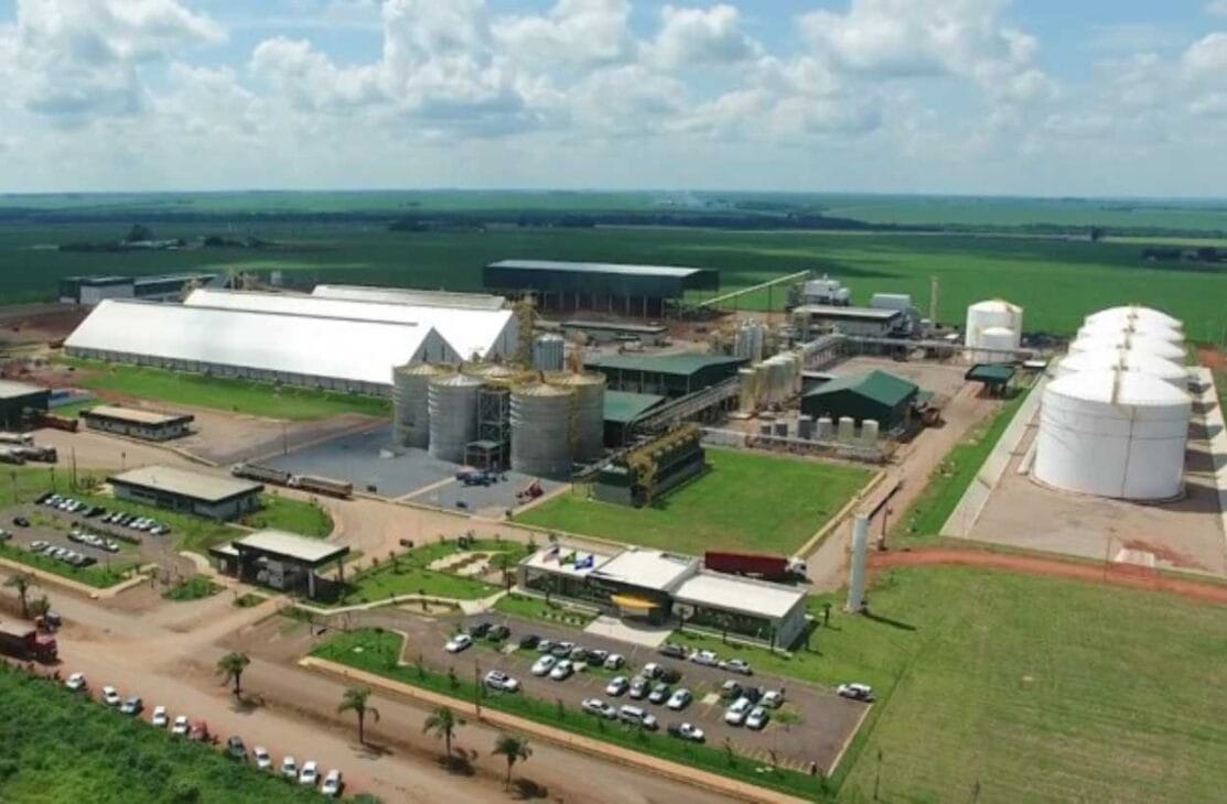 How is Corn Ethanol Made? Using Lower Crops to Boost Biofuel Production