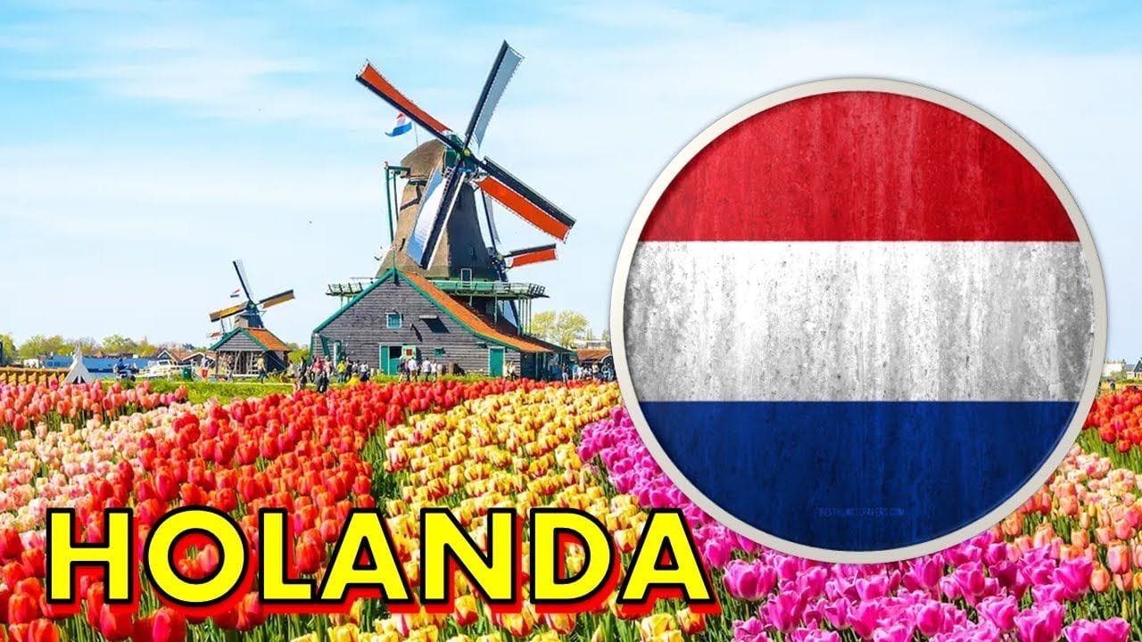What is it Like to Live in the Netherlands?