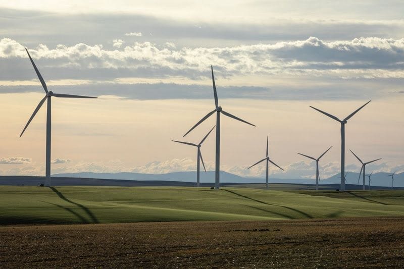 Estratégias de Gestão para Parques Eólicos