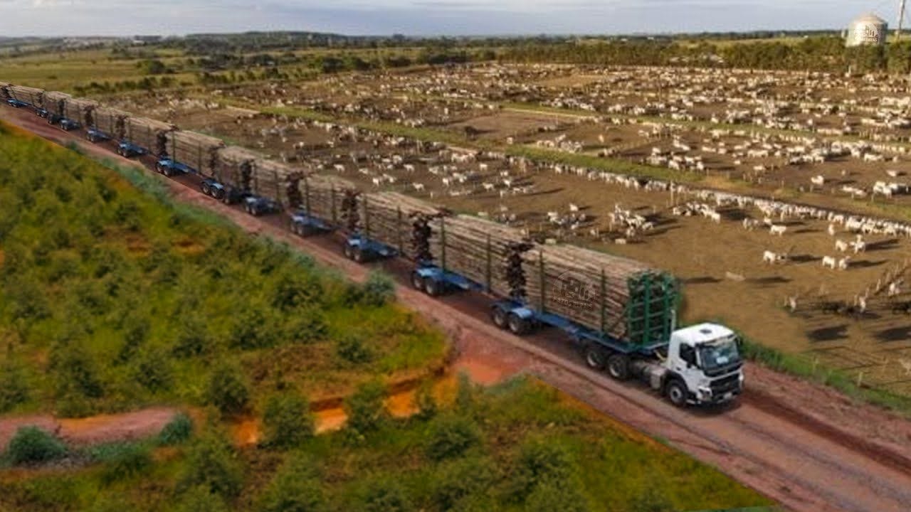 The Hexatrem: Revolution in Brazilian Freight Transport Logistics
