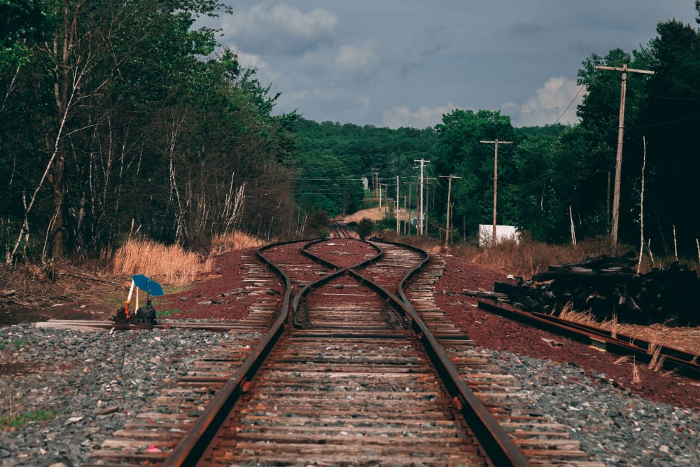 Junção de trilhos de trem em meio a uma floresta esparsa, representando o Plano Nacional de Ferrovias no Brasil.