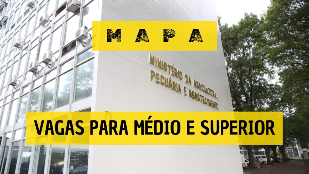 mapa abre concurso - novo concurso - concurso mapa - ministério da agricultura pecuária e abastecimento
