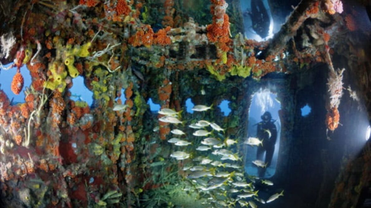 The Intent Was Good! New York THREW More Than 2,500 Subway Cars To The Bottom Of The Atlantic Ocean