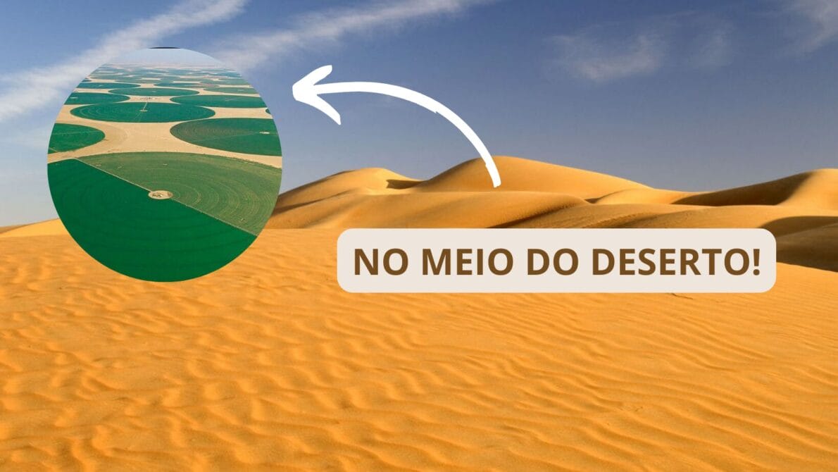 Reflorestamento, Arábia Saudita, Agricultura, deserto