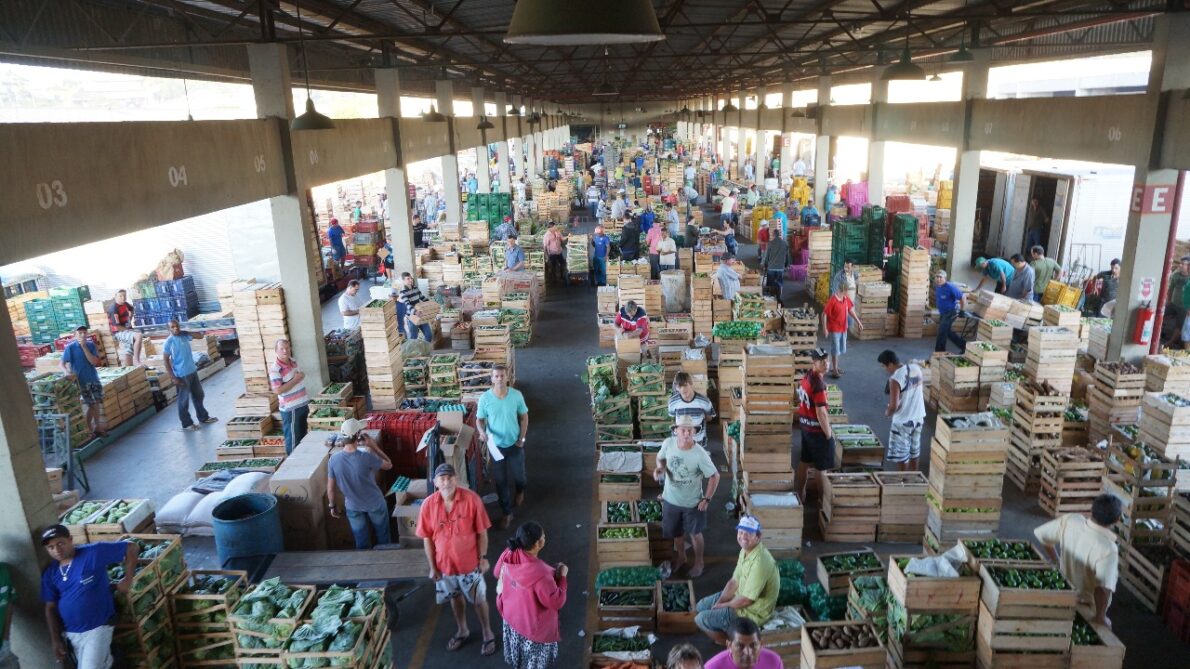 ceasa - selection process - public competition