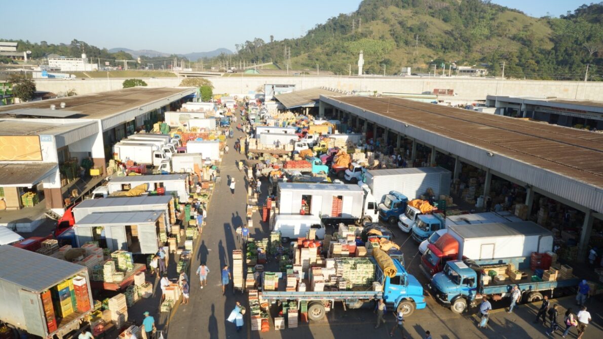 ceasa - selection process - public competition