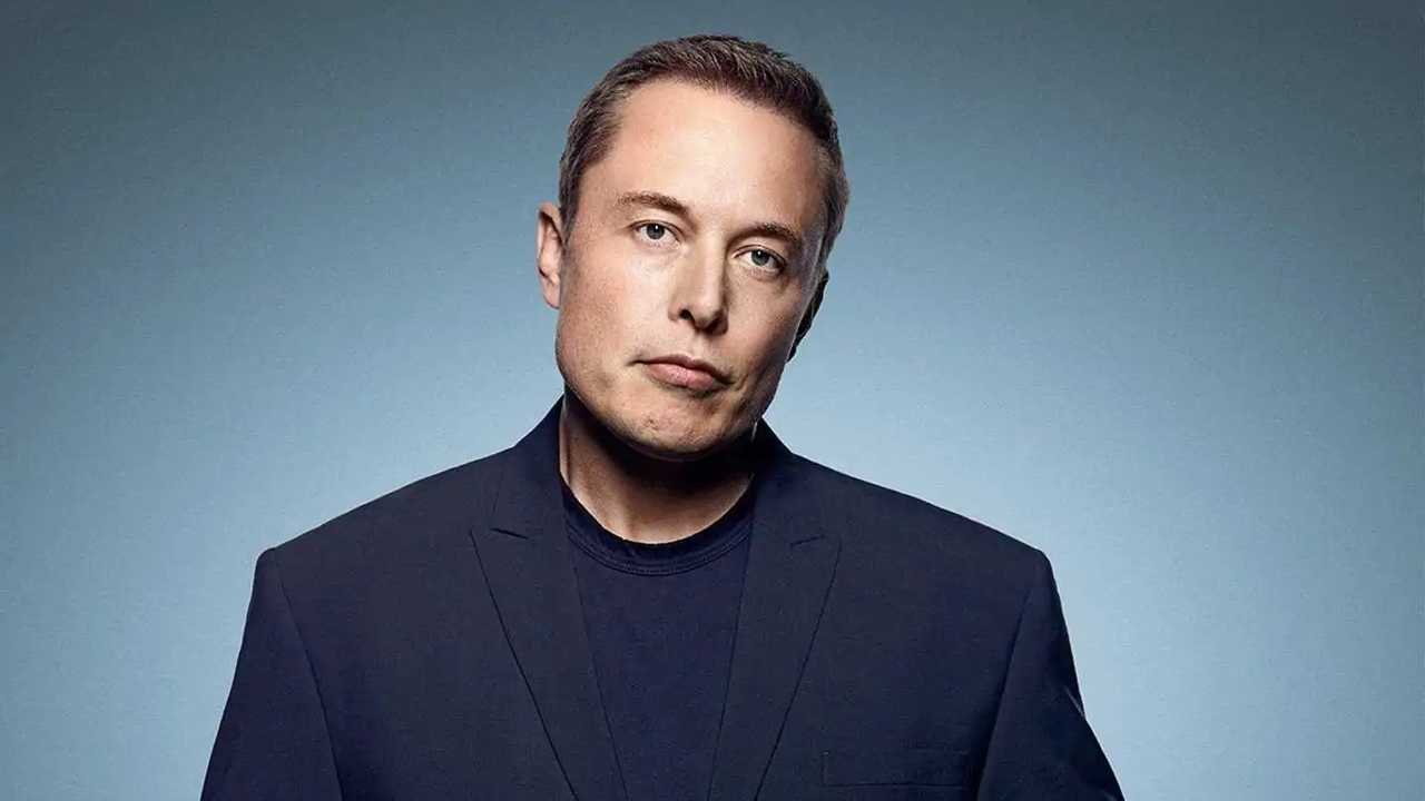elon musk - havan - luciano hang - véio da havan - fortuna