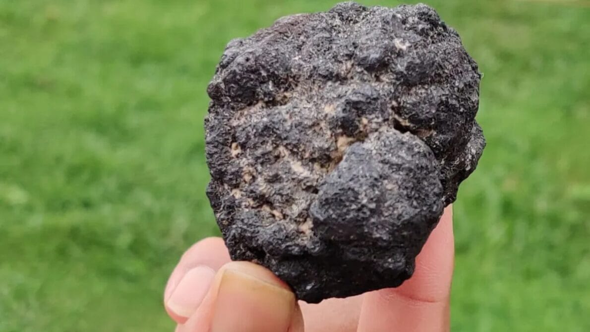 “sea”, “oxygen”, “technology”, “science”, “ocean floor”