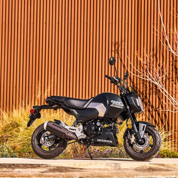 
MSX125 Grom 2025. (Photo: reproduction/ Honda)