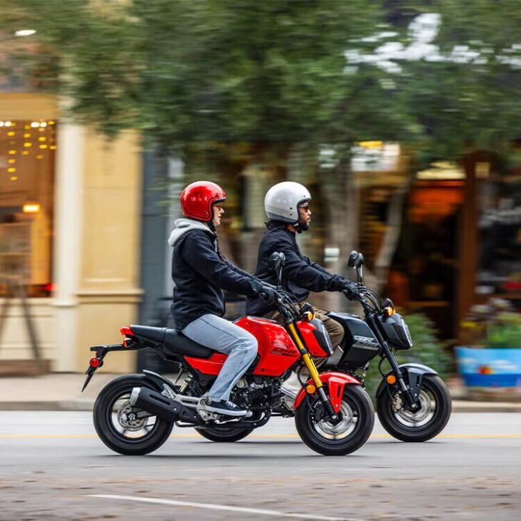 
MSX125 Grom 2025. (Photo: reproduction/ Honda)