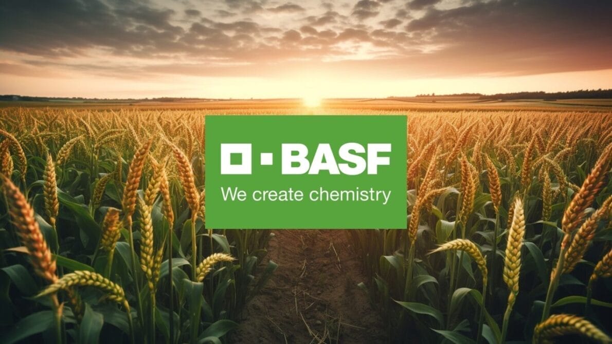 “basf”, “selection process”, “internship”, “open positions”