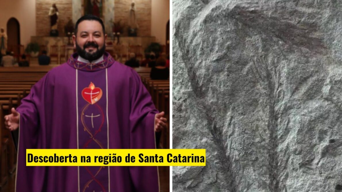 Grupo liderado por padre encontra fóssil com 270 milhões de anos no Brasil, viveu muito antes do surgimento das árvores com flores e frutos