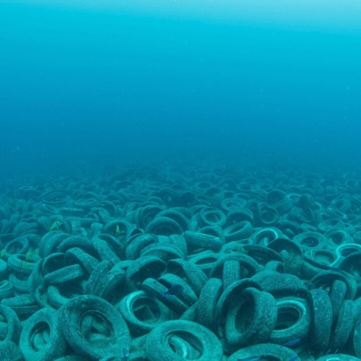 Fifty Years Ago, The United States Undertook An Audacious Project By Throwing 2 Million Tires Into The Ocean Near Fort Lauderdale, Florida
