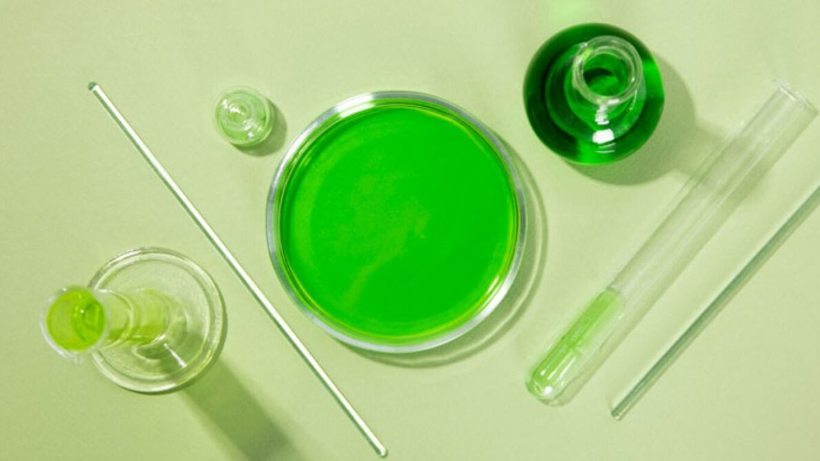 “investment”, “methanol”, “fuel”, “suape”