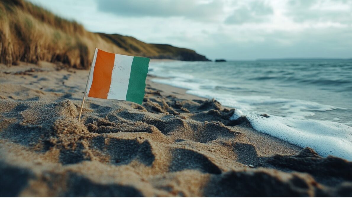 “job in ireland”, “work in ireland”, “job openings”, “open positions in ireland”