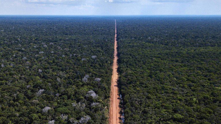 Pavement of BR-319 Threatens Amazon and Brazil's Climate. Researchers Warn of Deforestation, Loss of Rainfall, and Impact on Indigenous Communities. (Photo: Disclosure/ DNIT)