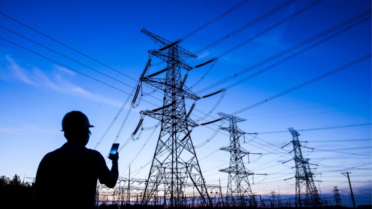 “Bradesco,” “investment,” “energisa”,