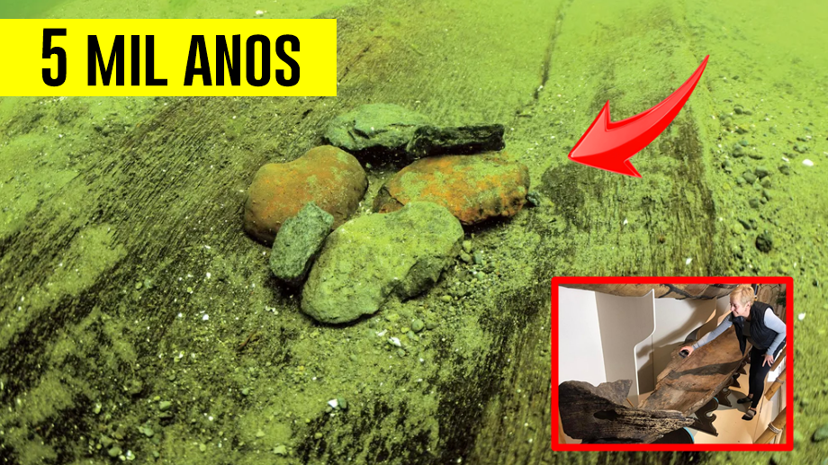 Arqueólogos, Estados Unidos