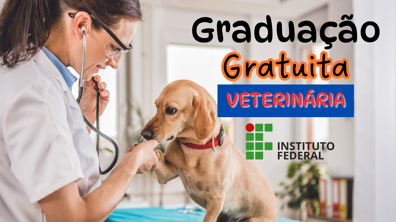 cursos - Instituto Federal - IF -