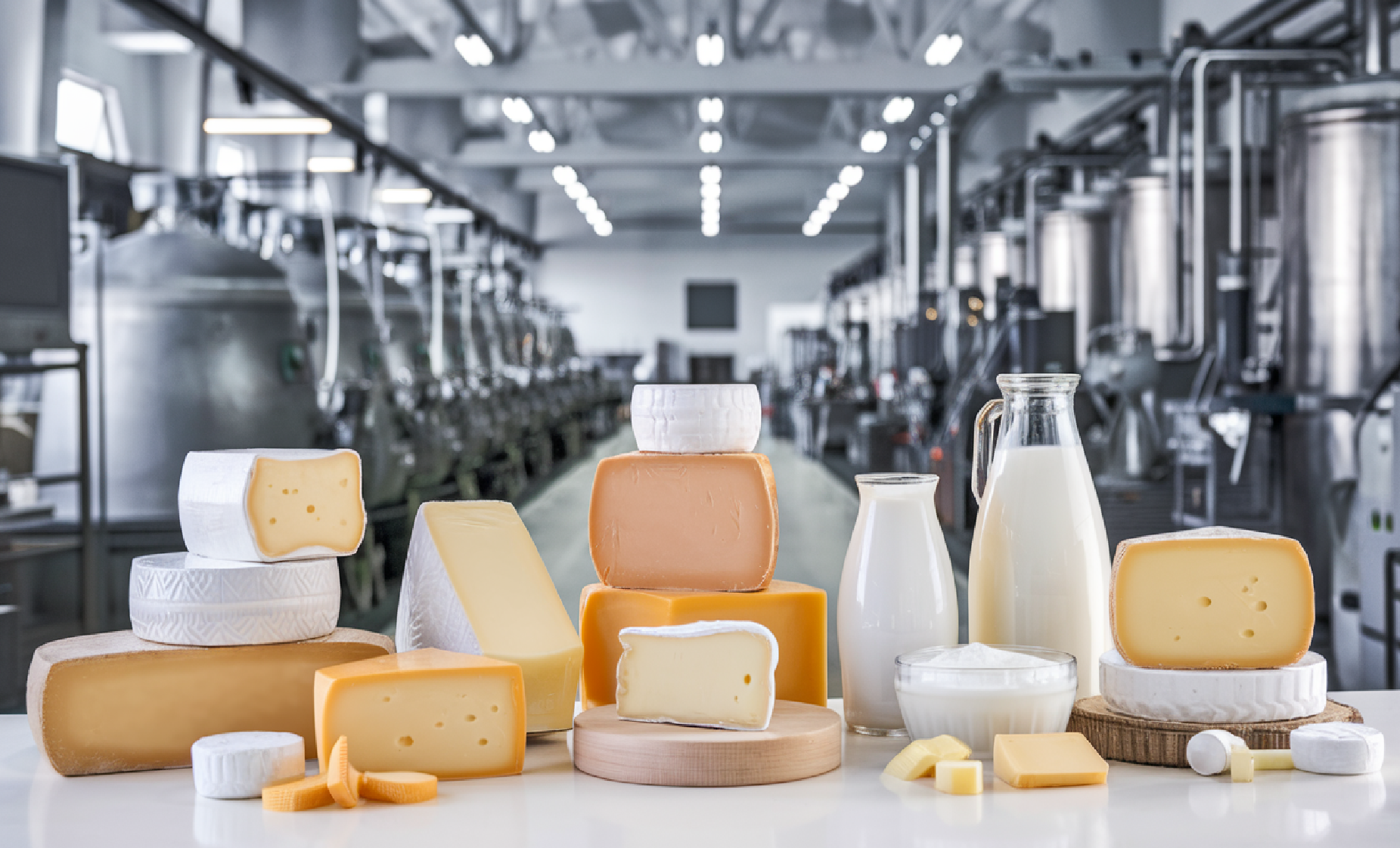 laticínios, minas gerais, investimentos