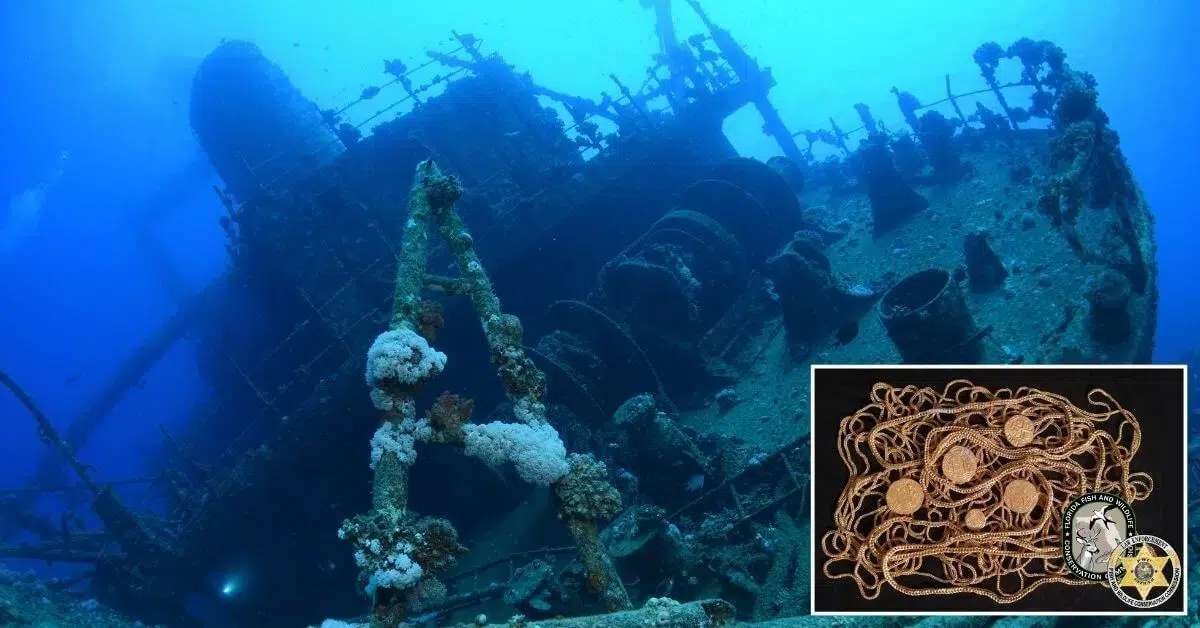 Moedas de ouro, naufrágios