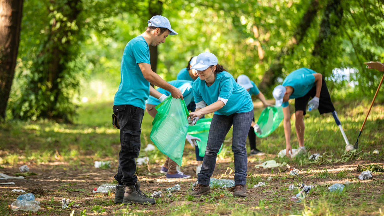 Com os investimentos certos, é possível gerar milhões de novas vagas de emprego e proteger a natureza para as gerações futuras.