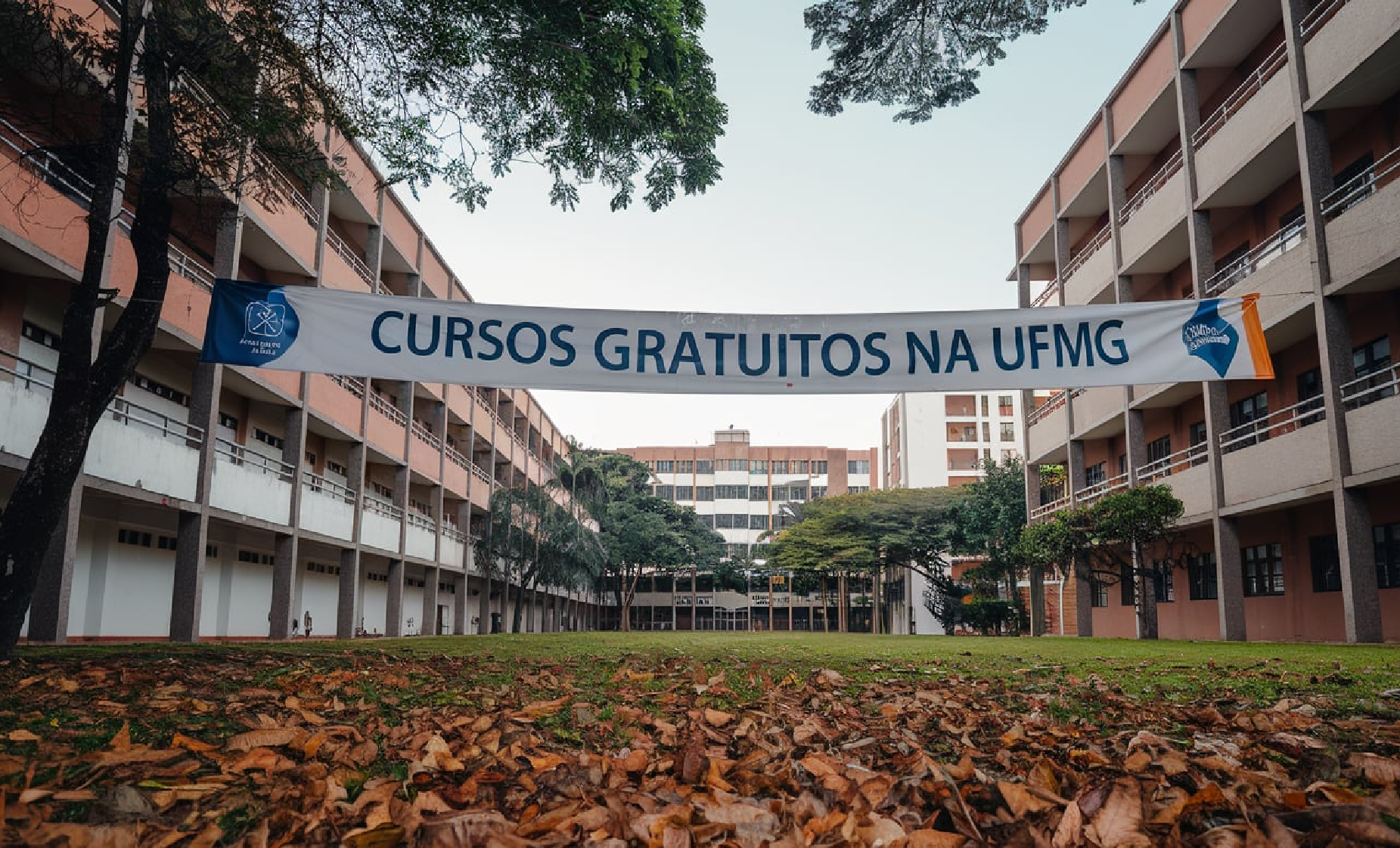 UFMG, cursos, educação