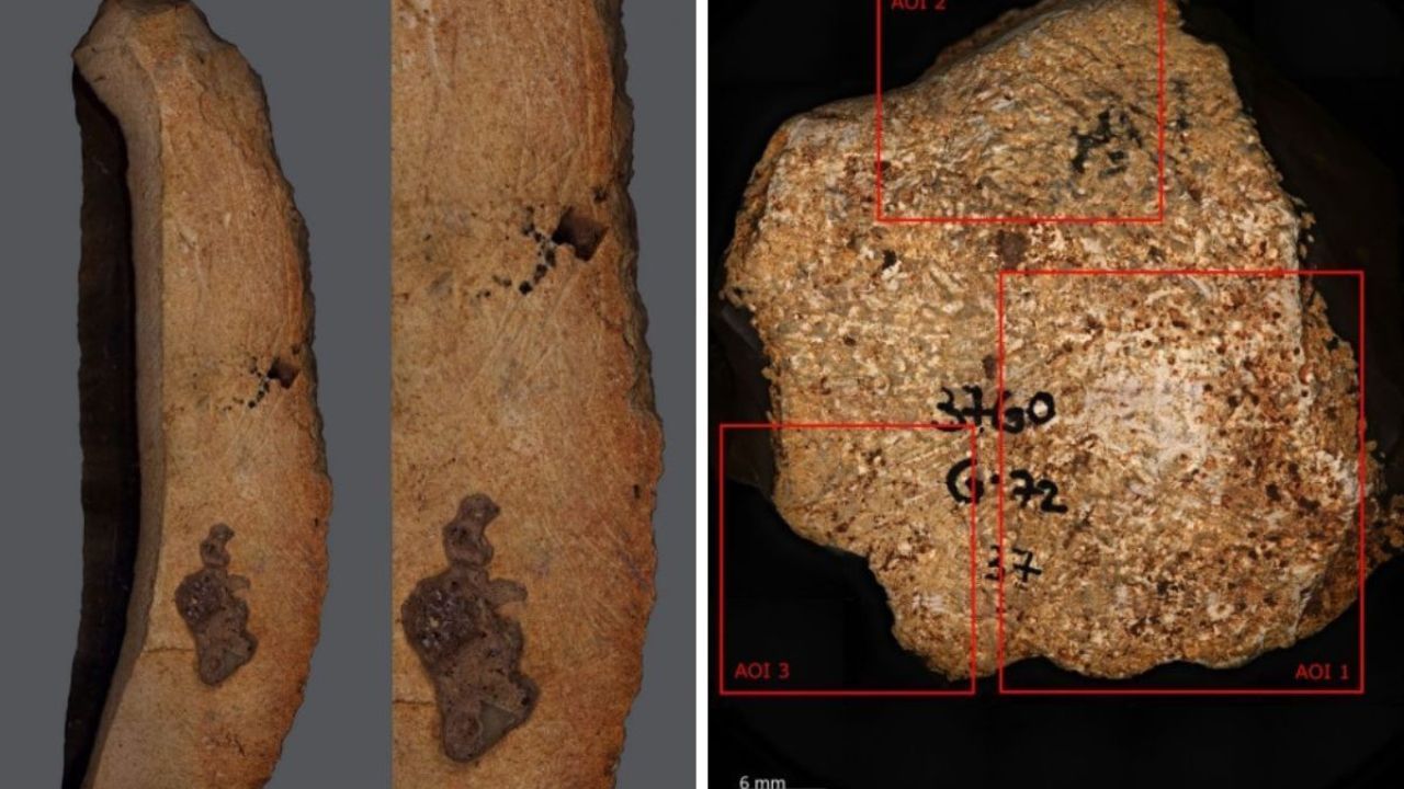 Gravuras pré-históricas revelam que os primeiros humanos tinham pensamento simbólico avançado muito antes do que se imaginava