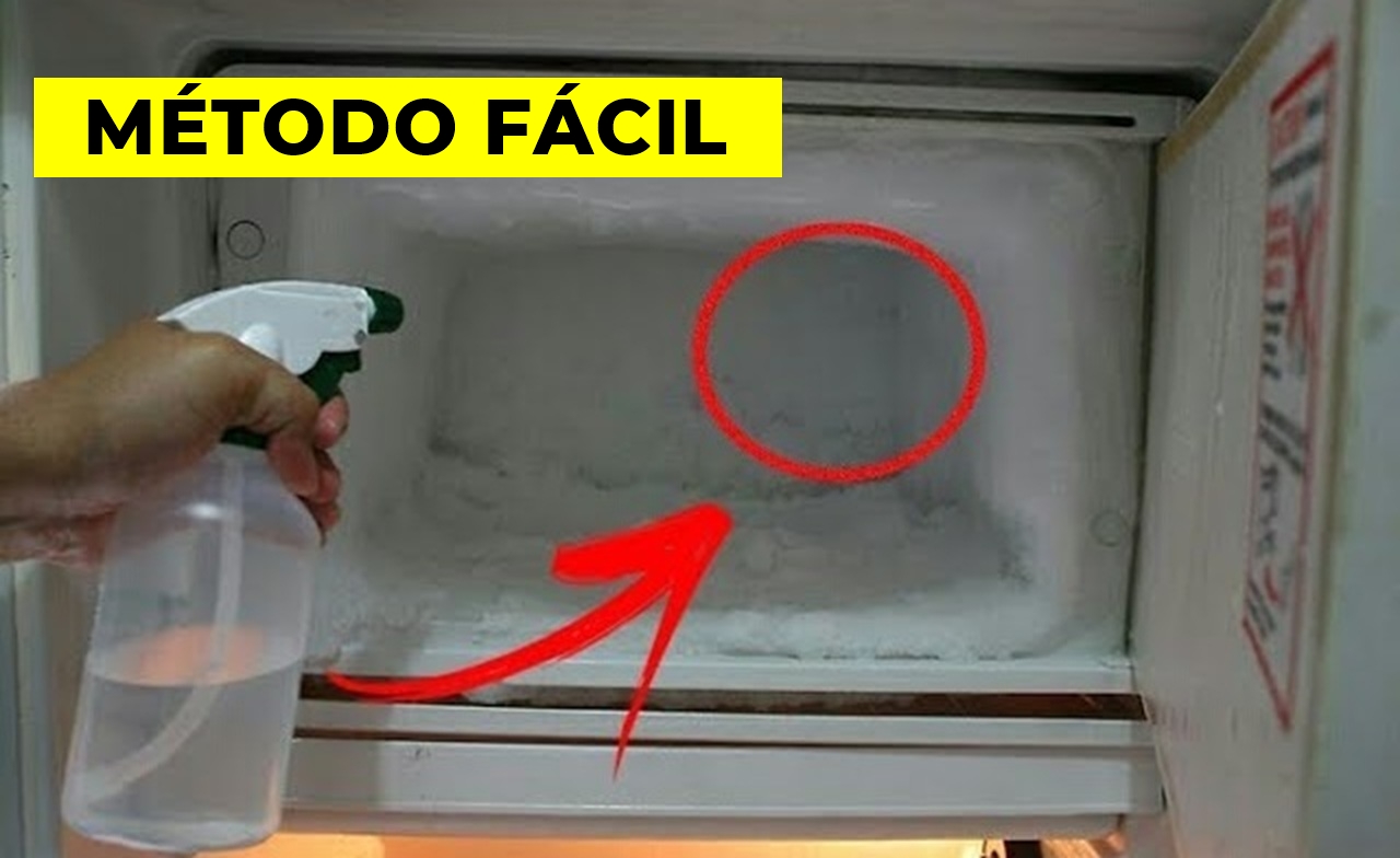 congelador, geladeira